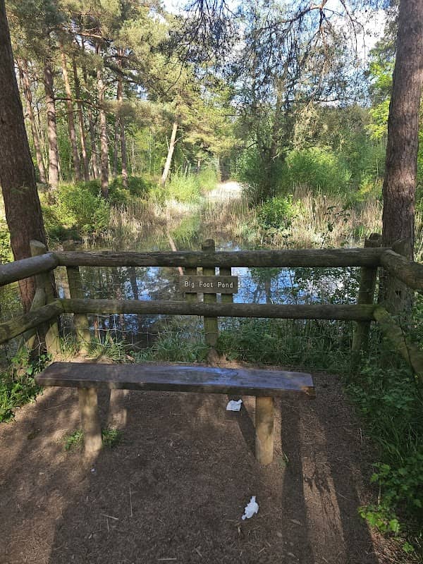 Big Foot Pond - Image 2