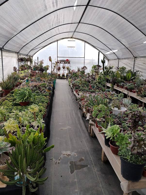El Principio Garden - Image 2