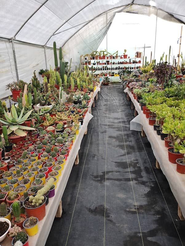 El Principio Garden - Image 1