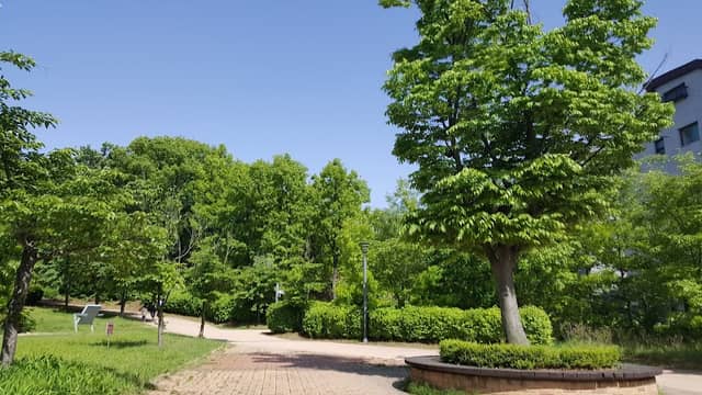 Sannae Park - Image 1