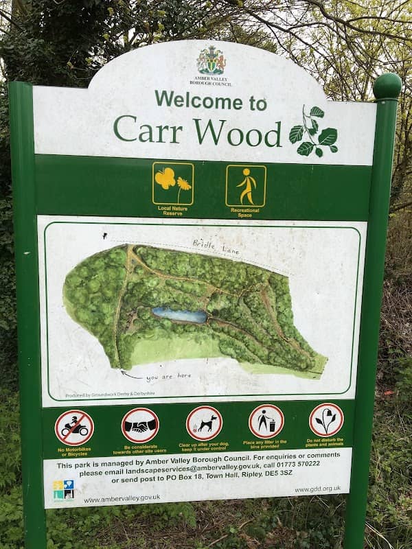 Carr Wood - Image 2