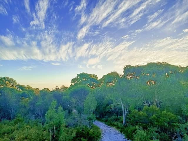 Bunarong Park - Image 2