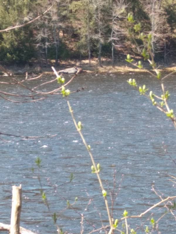 Scenic Overlook - Kennebec River - Image 1