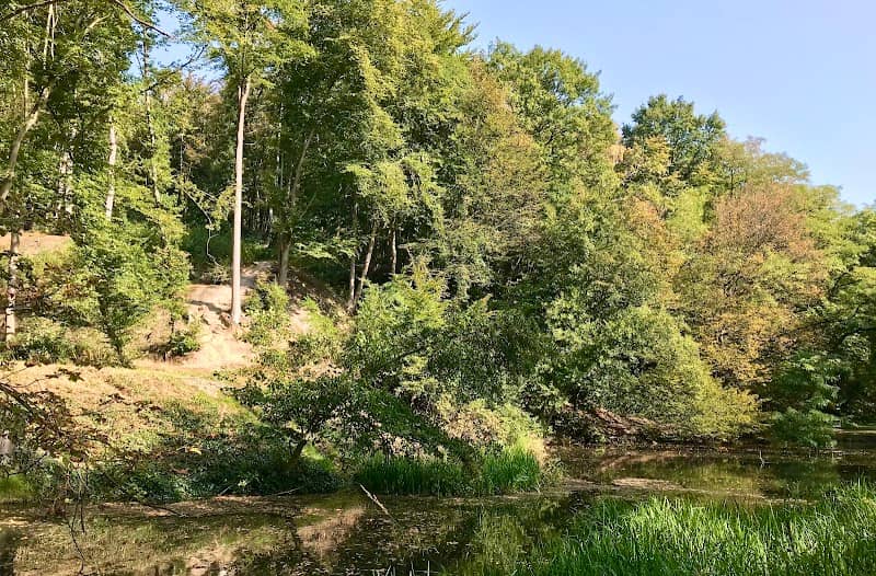 Cascade Landgoed Duno - Image 1