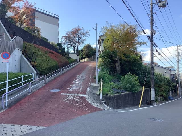 志村の崖線 - Image 2