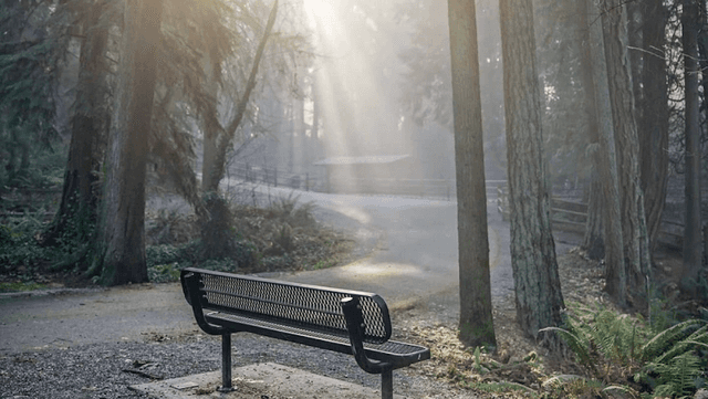 Wildwood Park - Image 1