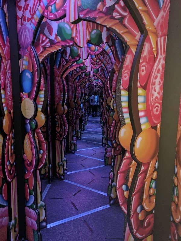 Ripley's Adventure Maze - Image 2