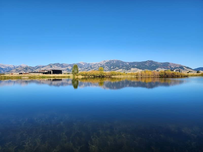 Cattail Lake - Image 1