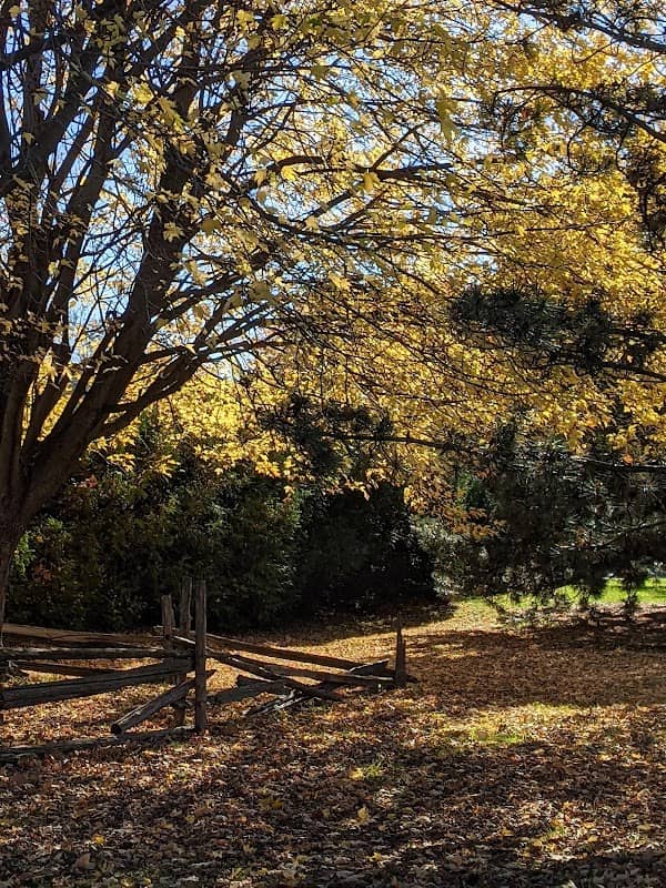 Parc Georges-Langlois - Image 1