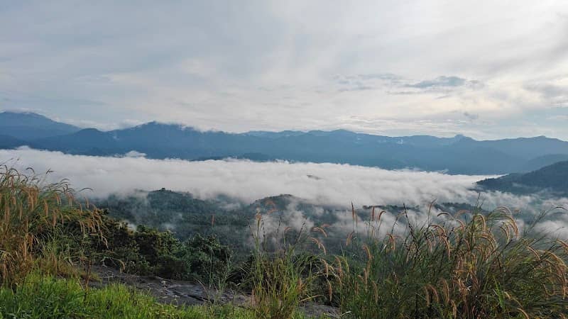 Muthachi Para - Image 1