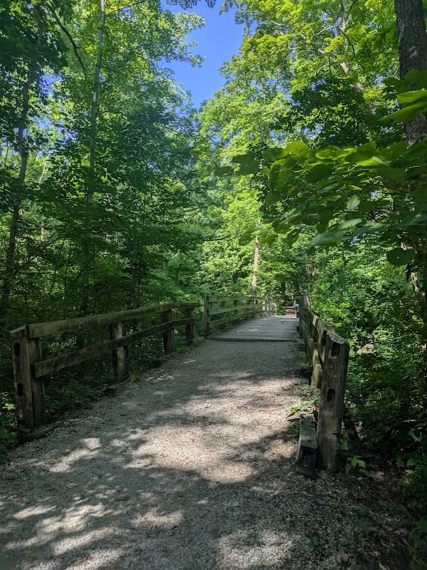 Sharon Woods Gorge Trail - Image 2