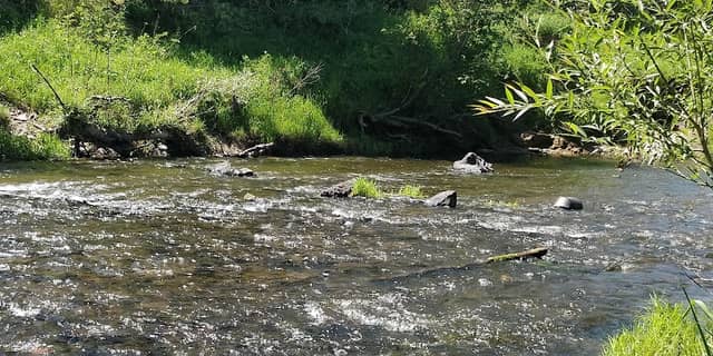 Palouse Pool And Park - Image 2