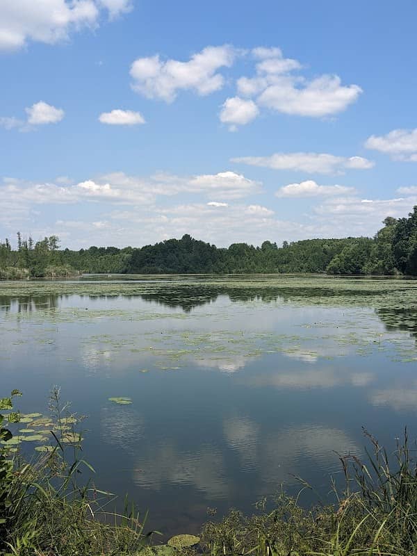 Big Mike Lake - Image 2