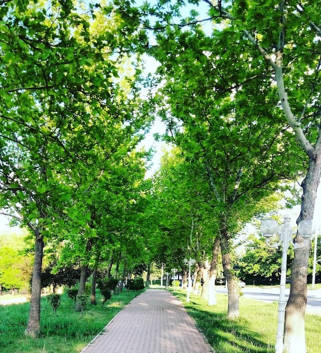 Cyprus Square - Image 1