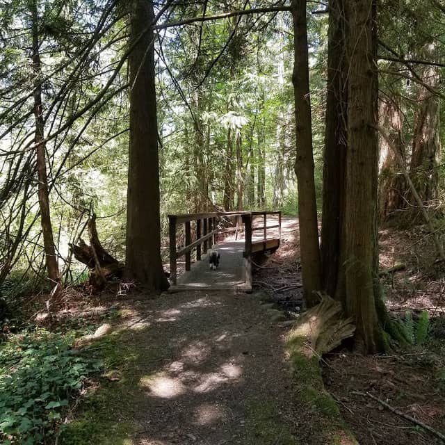 Old Mill Park - Image 3