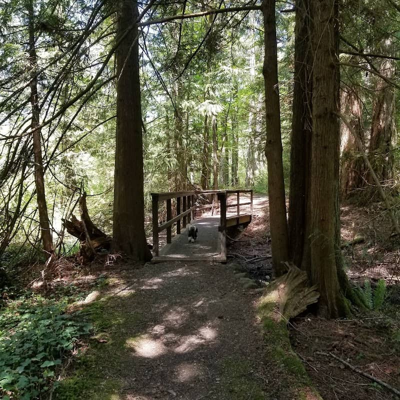 Old Mill Park - Image 3