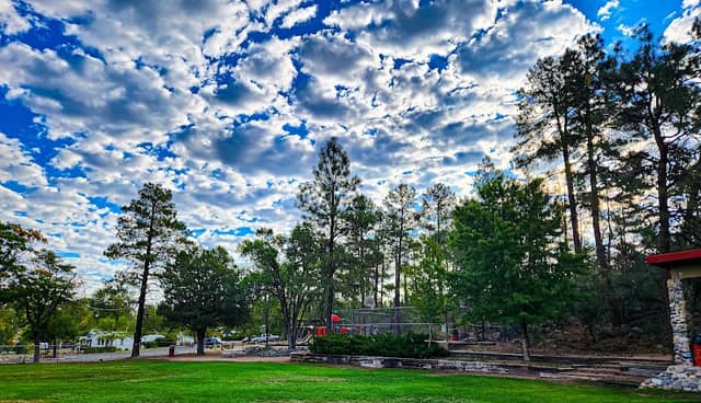 Flinn Park - Image 1
