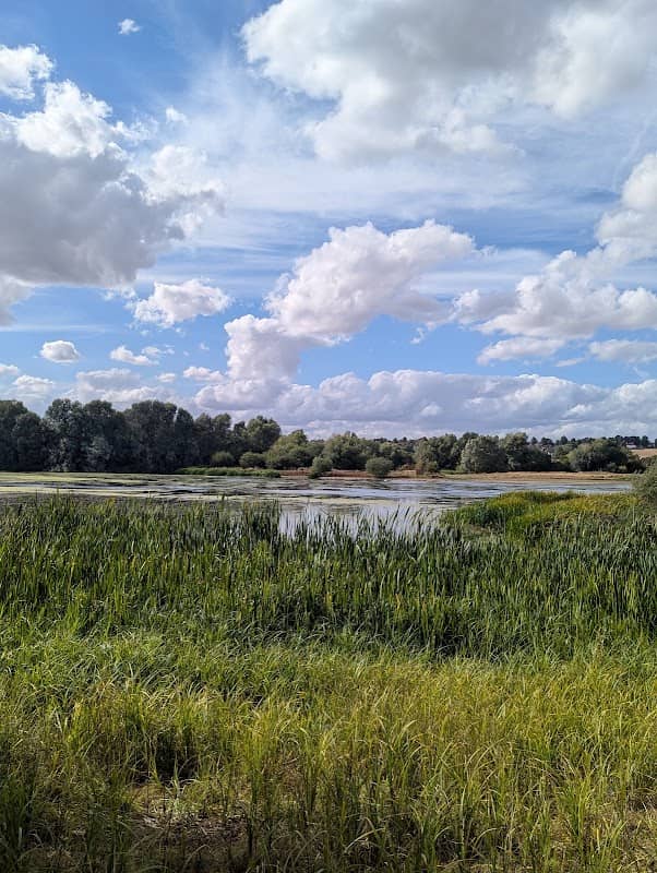 Rotary Hide - Image 1
