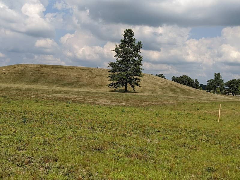 Archbold-Wilson Park - Image 2