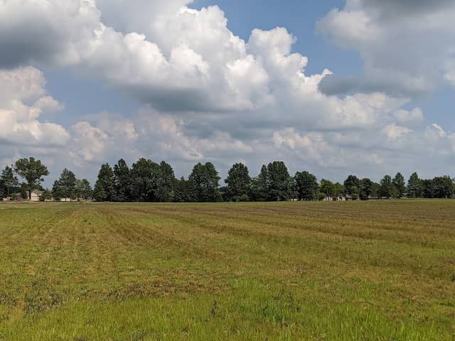 Archbold-Wilson Park - Image 1