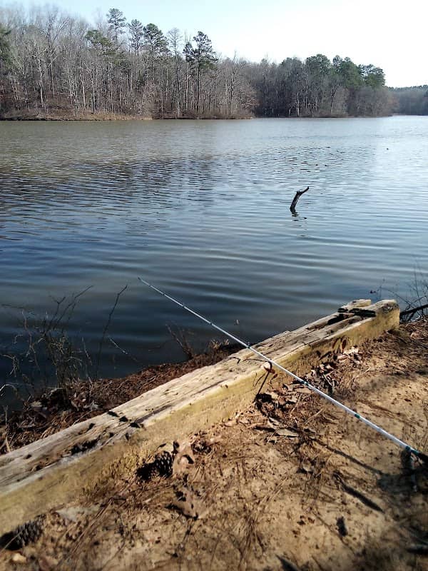 Sulligent Lake - Image 1