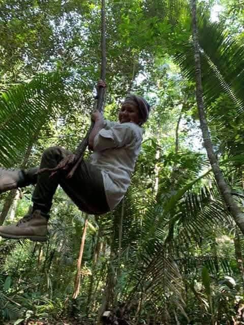 Tropical Jungle Adventures - Image 1