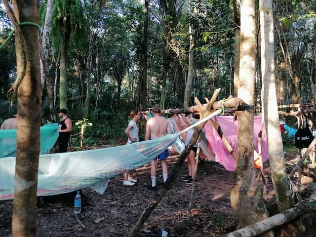 Tropical Jungle Adventures - Image 2