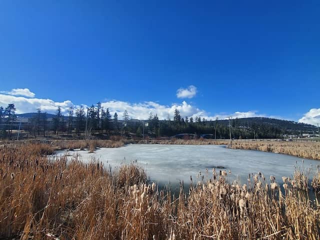 Dufferin Park Wetlands - Image 1