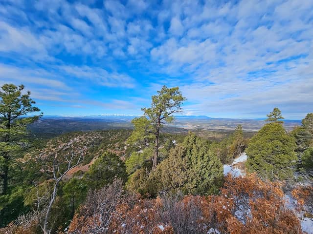 Fishers Peak State Park - Image 2