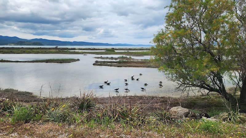 MESA Wetlands - Image 1