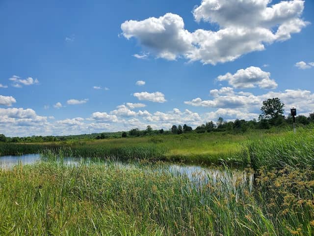 Mill Creek Preserve - Image 1