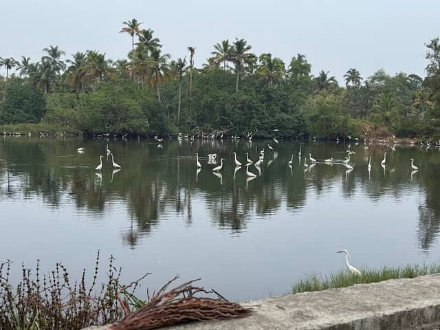 Kochiyude Jetty View Point - Image 1