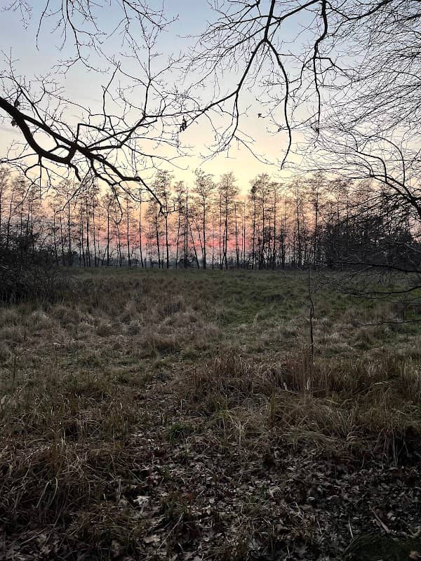 Moosbruchheide - Image 1