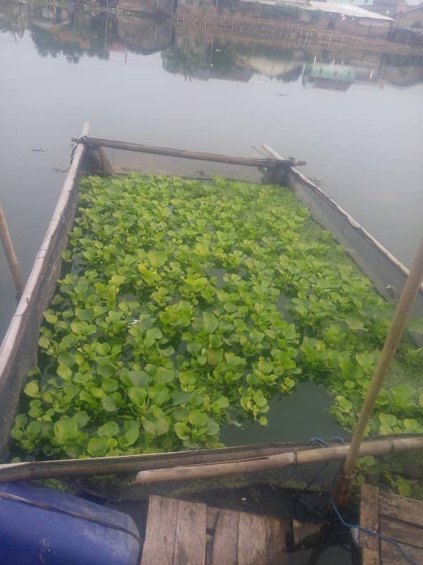 Situ Batusari - Image 2