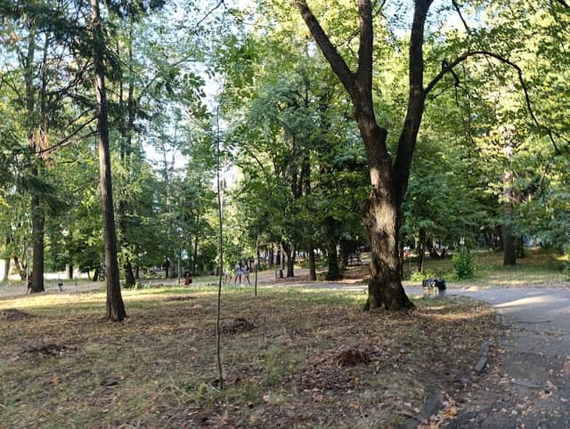 Urban park "Nikolay Haitov" - Image 1