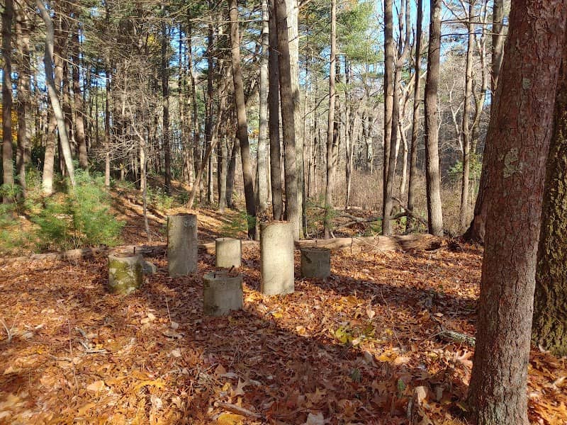 Russell Sawmill Pond Conservation Area - Image 2