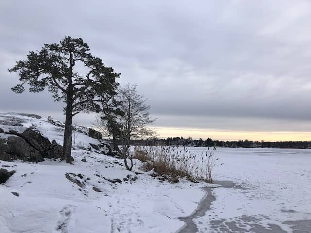 Drevvikens naturreservat - Image 3