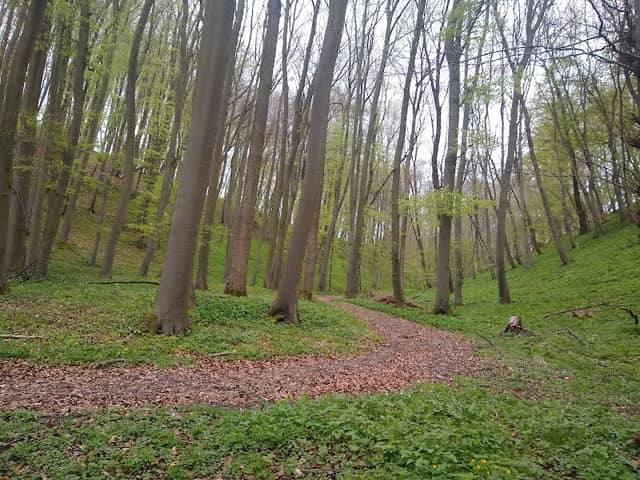 Eco Pfad Muschelkalk - Image 1