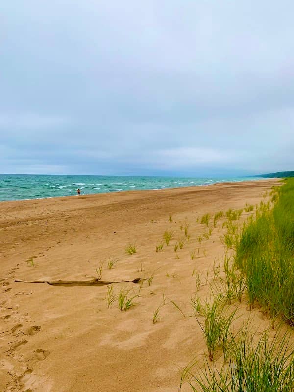 Indiana Dunes National Park Cowles Bog Trailhead - Image 1