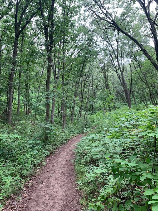 Indiana Dunes National Park Cowles Bog Trailhead - Image 3