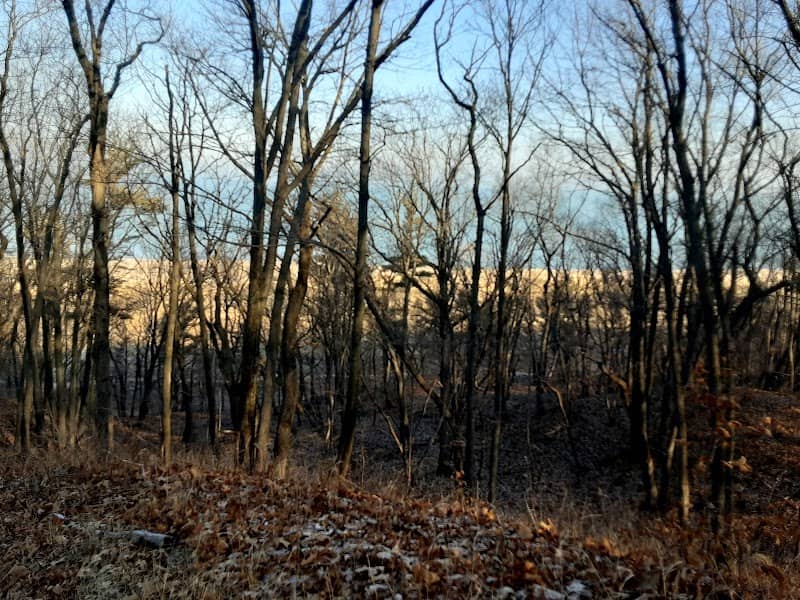 Indiana Dunes National Park Cowles Bog Trailhead - Image 2