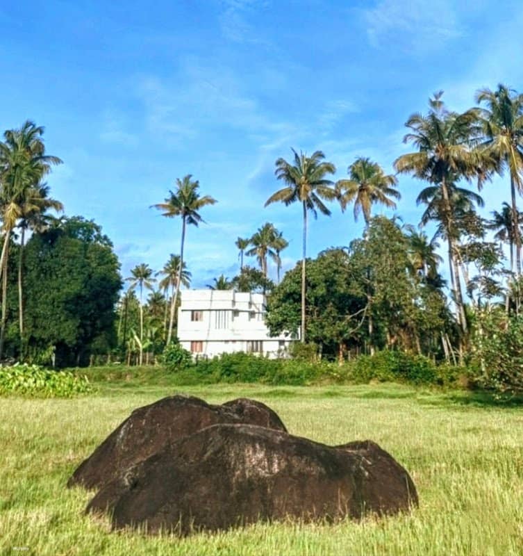 Little Elephant rocks (കുട്ടിആന പാറ) - Image 1
