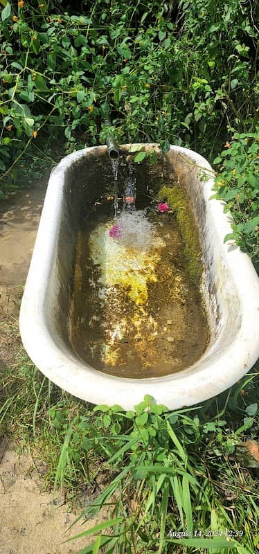 Bathtub Spring - Image 1