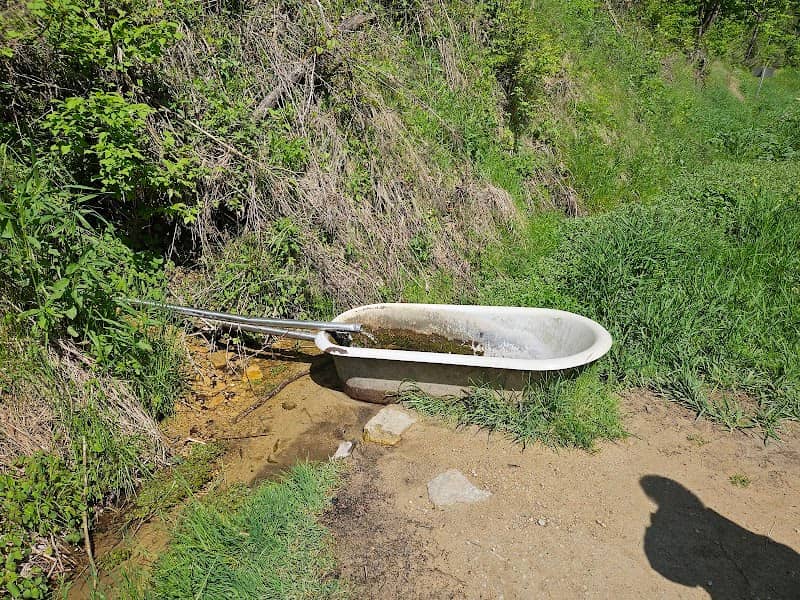 Bathtub Spring - Image 2