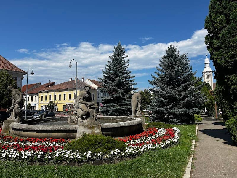 Piata Primariei - Image 1