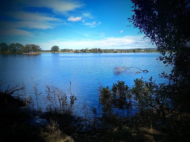 Taree Bicentennial gardens - Image 1