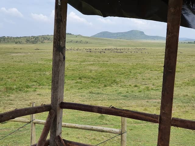 Mambo Game View, Nakuru - Image 2