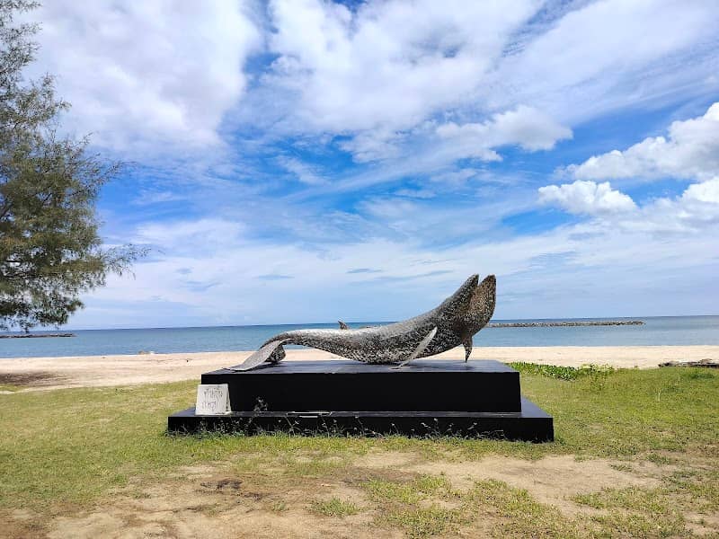 หาดชมวาฬ @หาดเจ้าสำราญ - Image 2