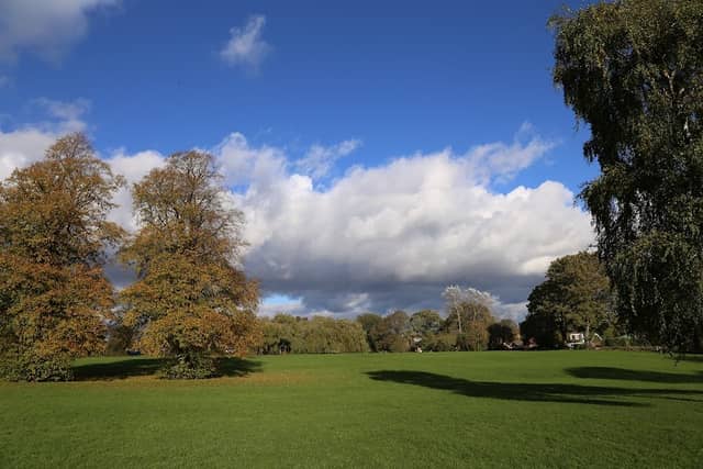 Bulls Field - Image 1