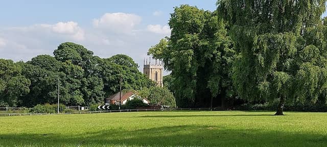 Bulls Field - Image 2